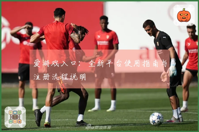 爱游戏入口：全新平台使用指南与注册流程说明